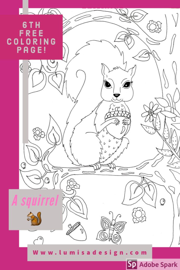 coloring page of a squirrel