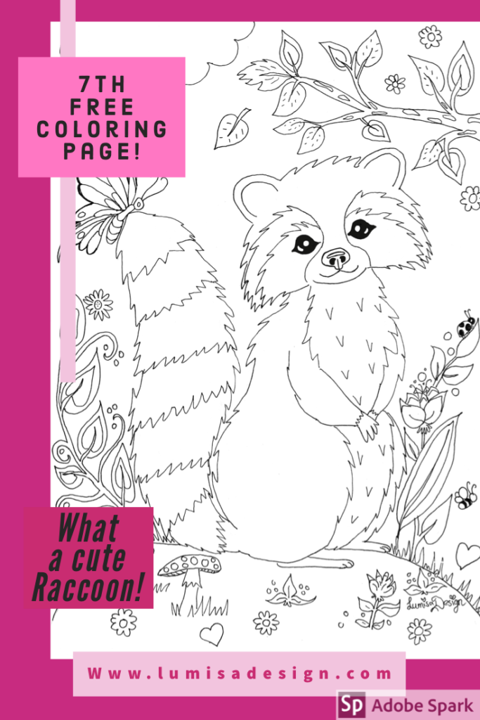 raccoon colouring page