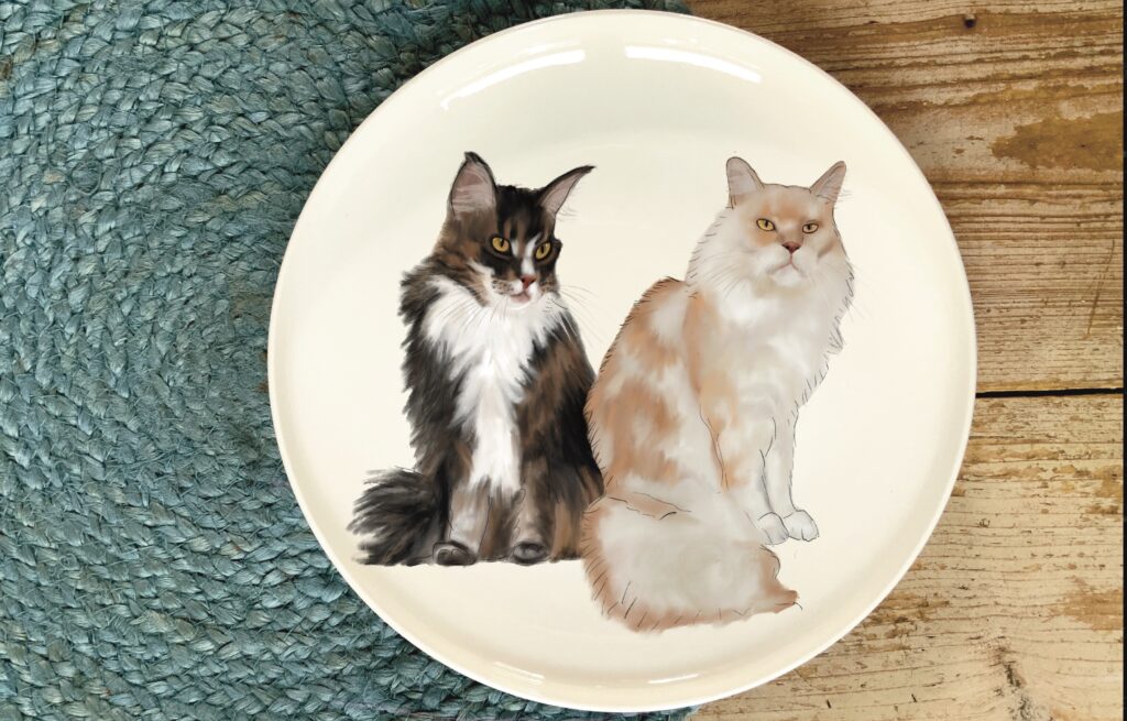 maine coone katten op ontbijtbord