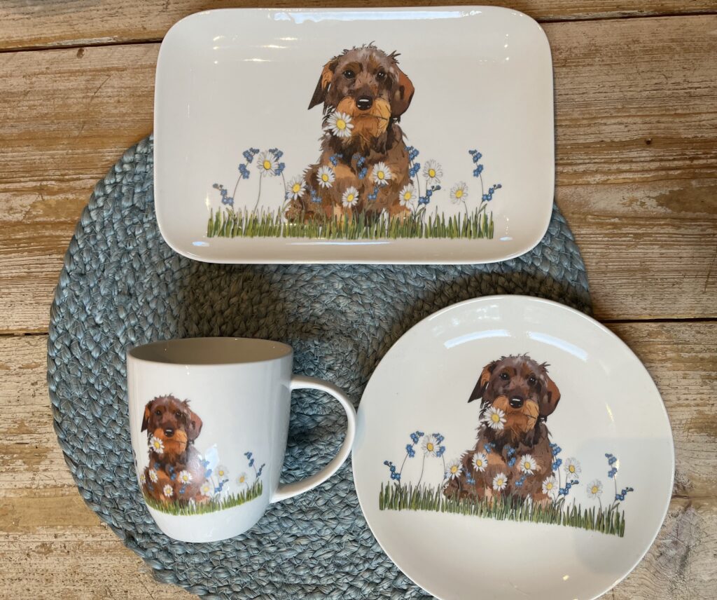 Ruwhaar teckel met bloemen servies